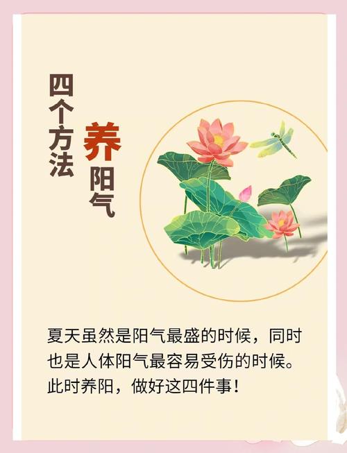 夏季养生小常识微信