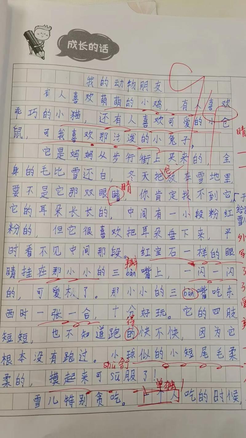 专四作文动物实验