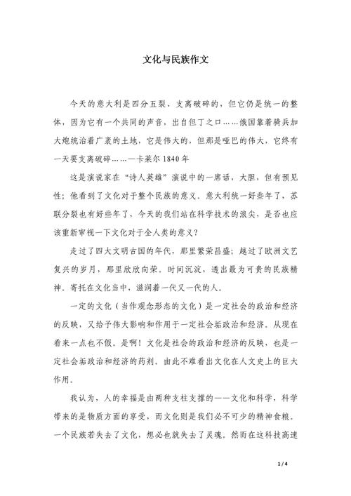 关于文化冲突作文