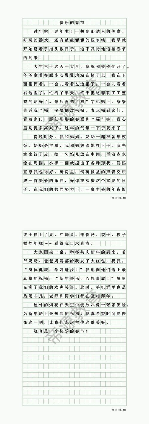 新年解决方案作文