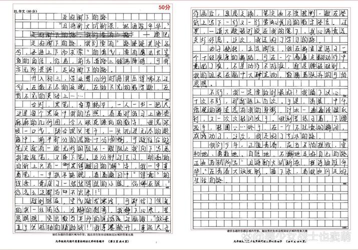 作文分数占比变化
