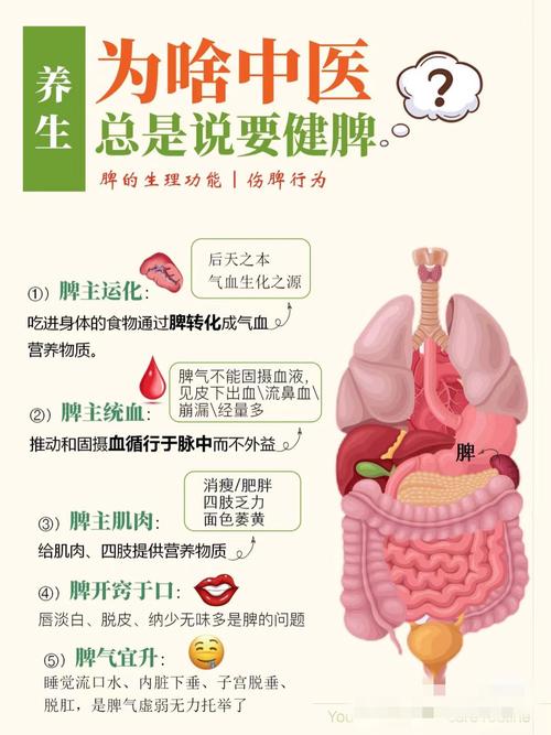 健康小常识图片大全