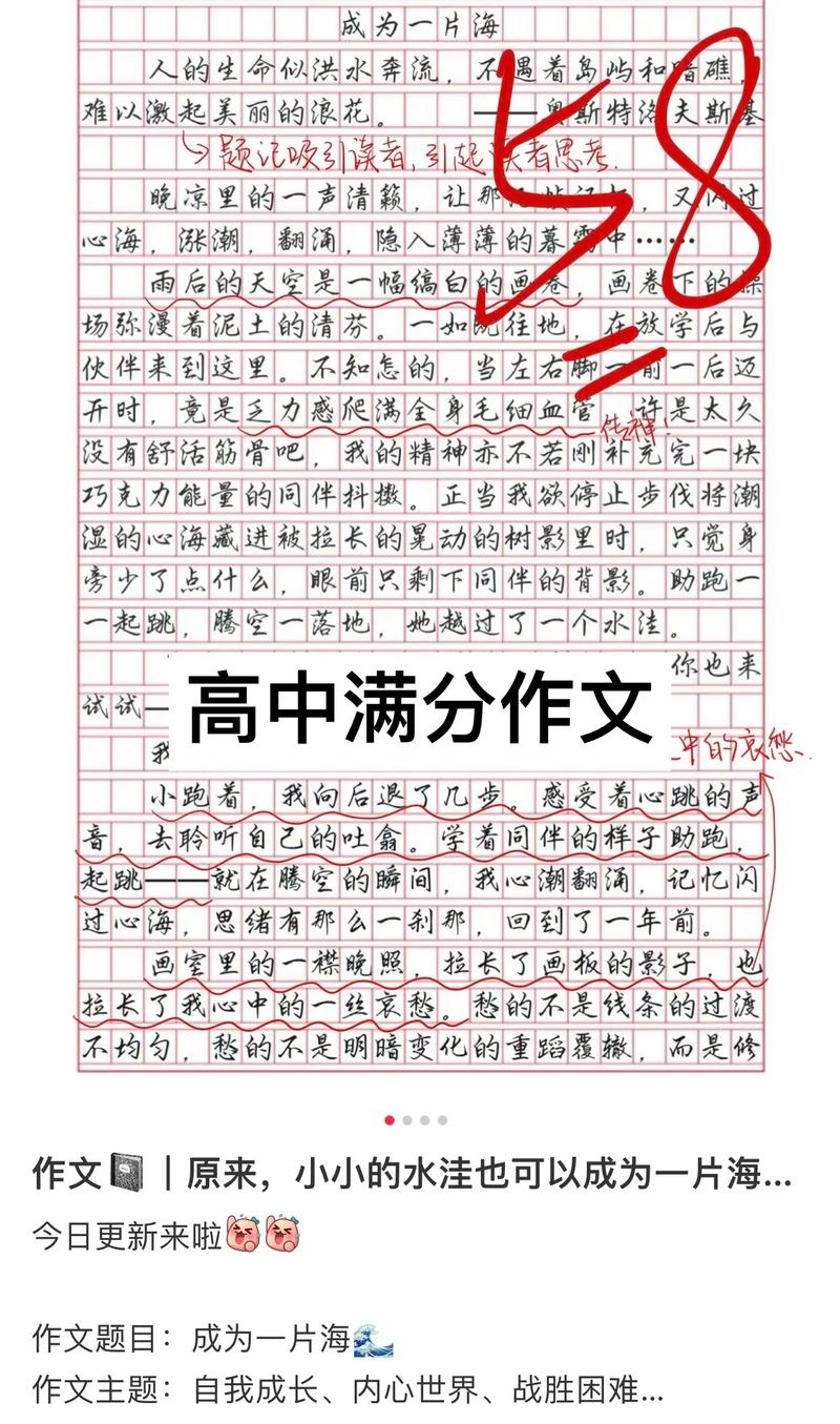 写作高分作文范例