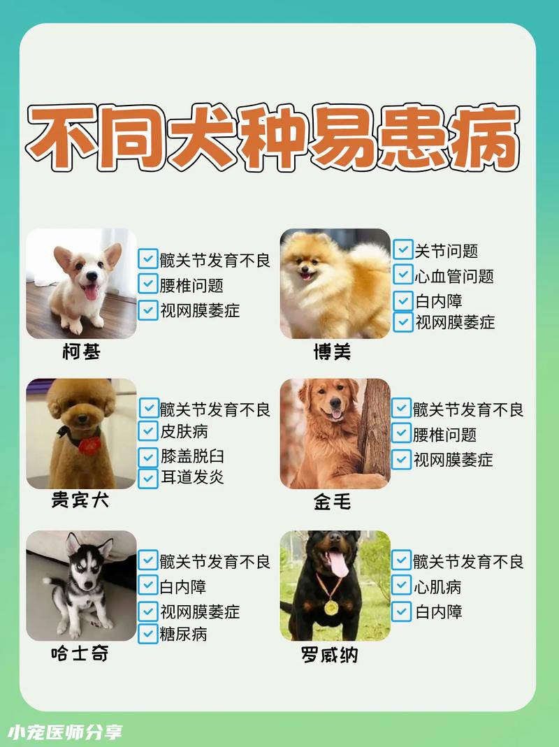 拉布拉多犬生病常识