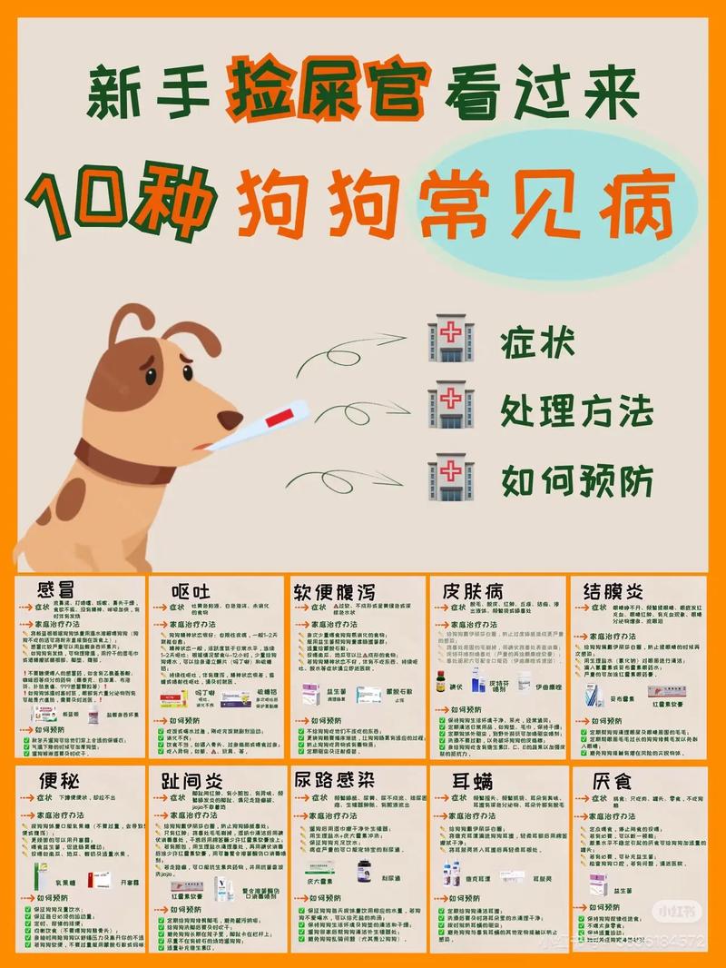 拉布拉多犬生病常识