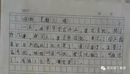 对移民的看法作文