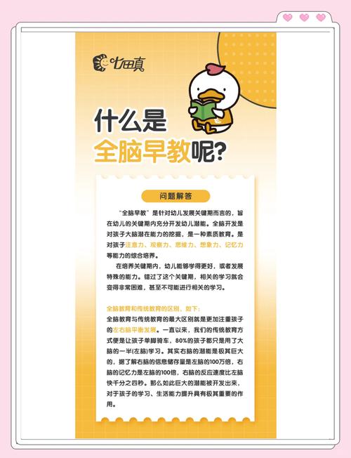 国家对全脑教育的政策