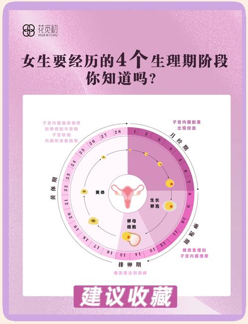 女性基本性生理常识