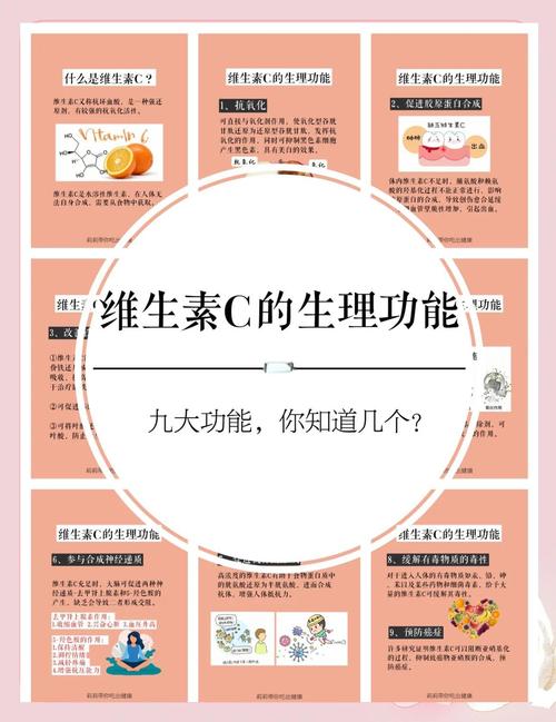 维生素c的常识
