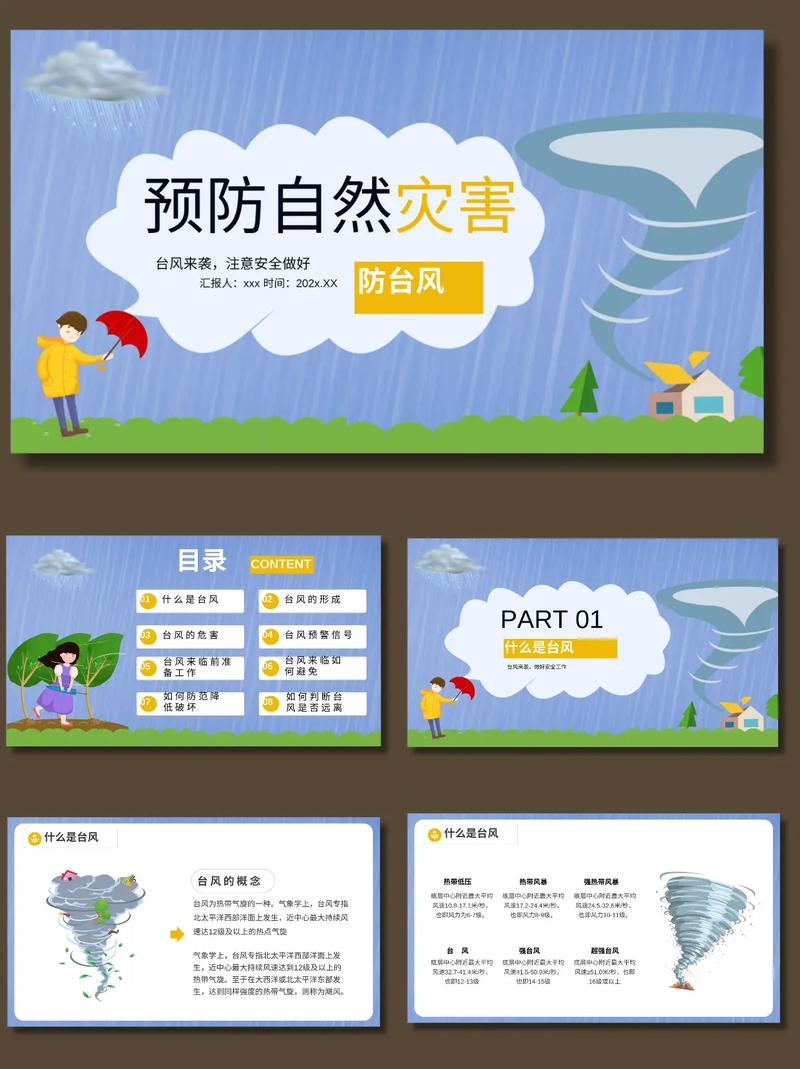 城管 台风安全教育