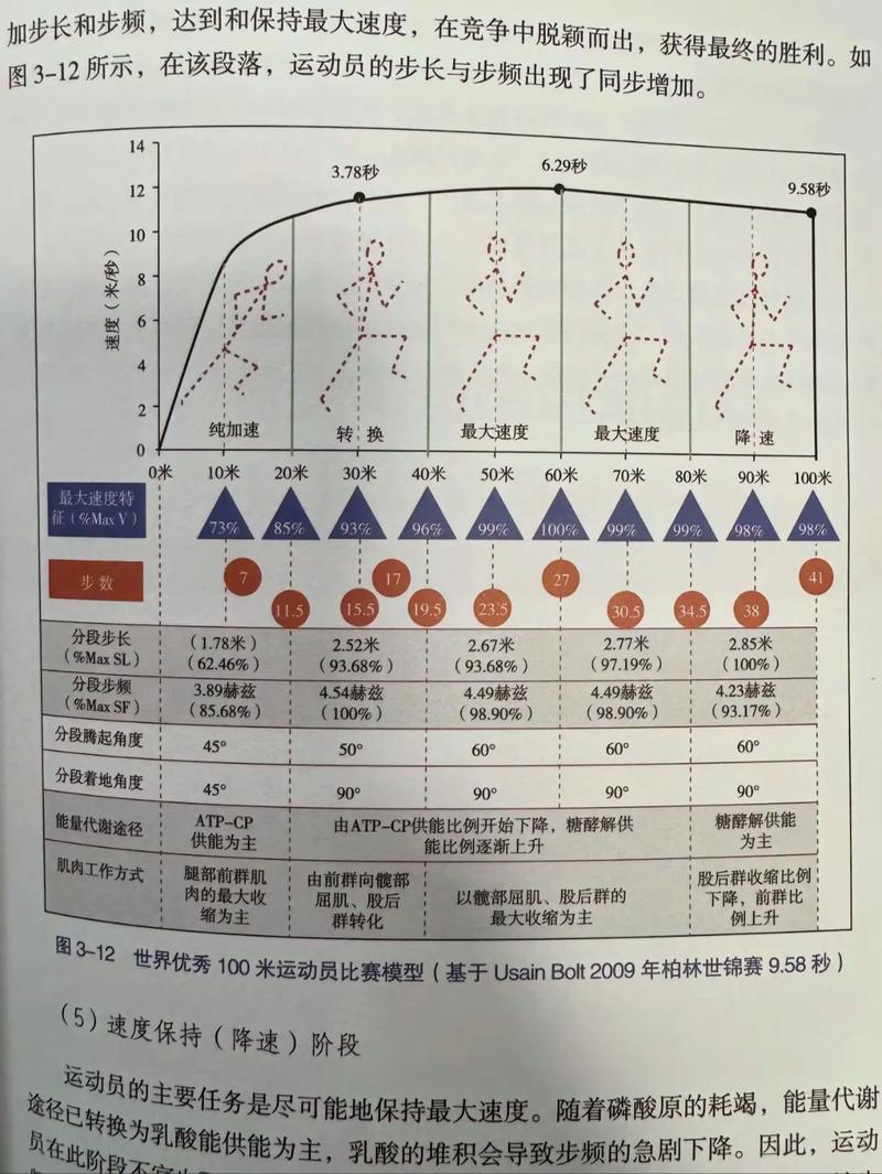 100米跑运动小常识