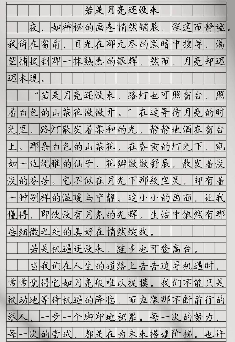 关于是与否的作文