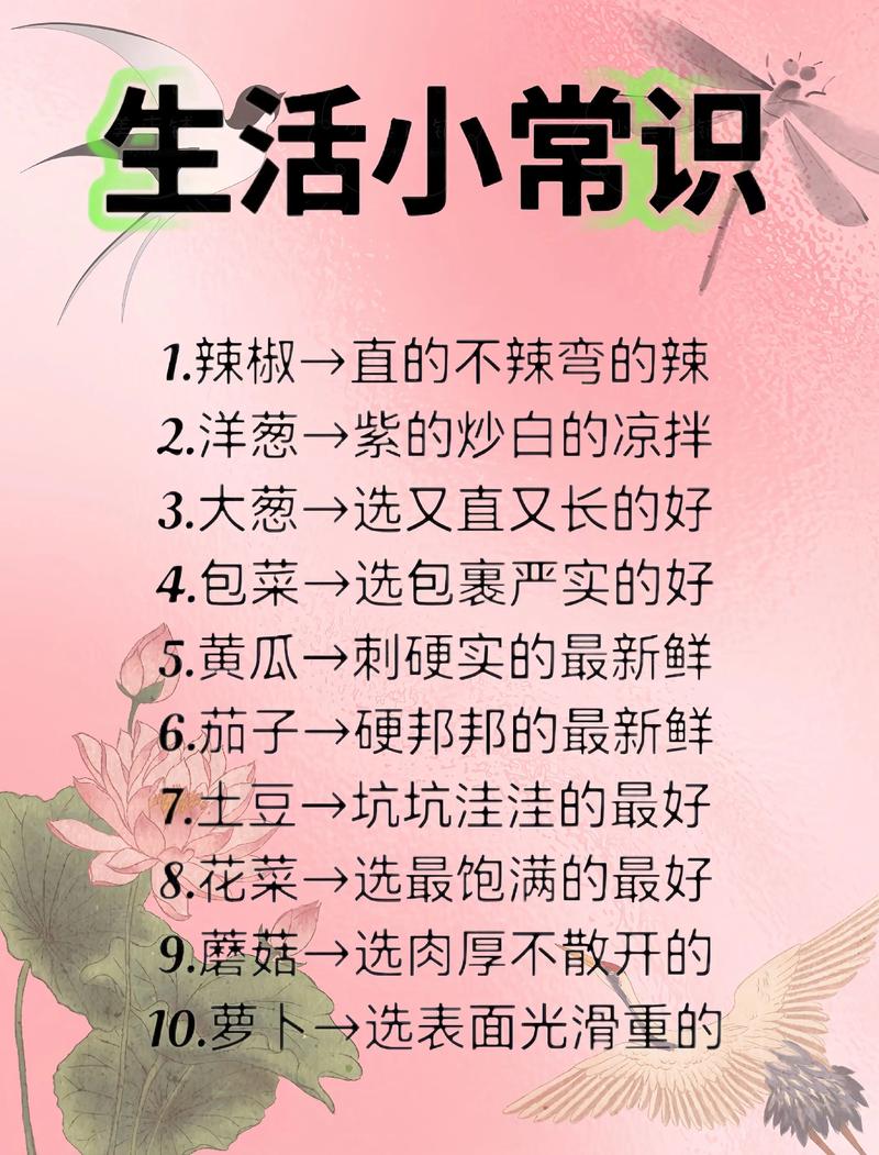 生活常识小百科