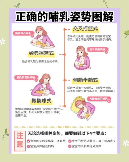 哺乳期基本常识