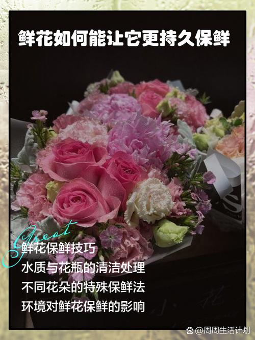 鲜花的购买与保鲜常识