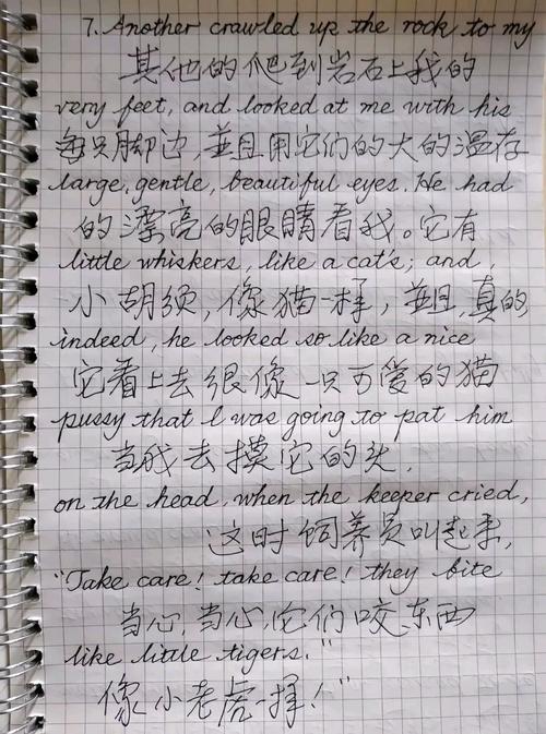 描写英国的小作文