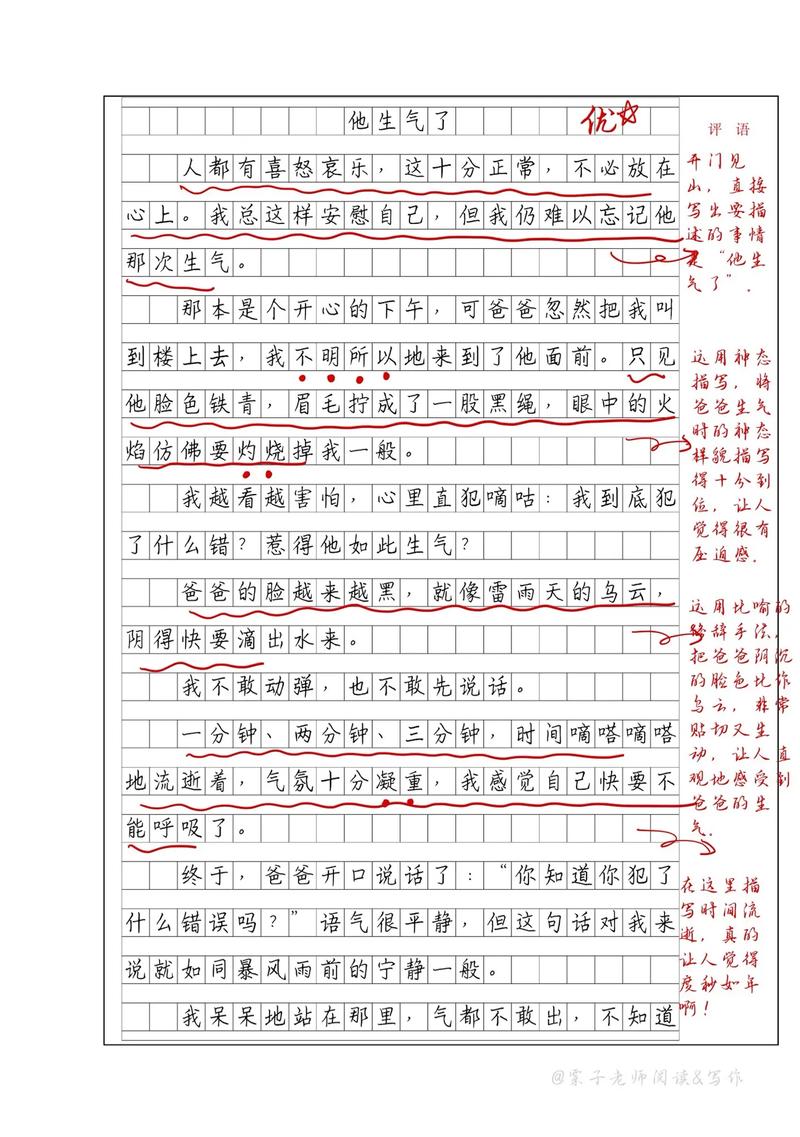 怎样的他作文开头