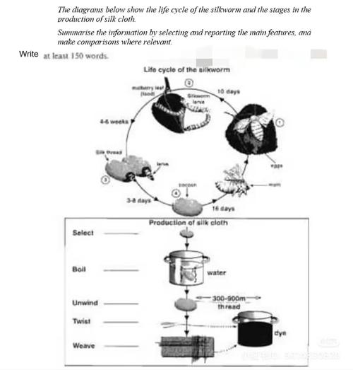 雅思作文水泥制作