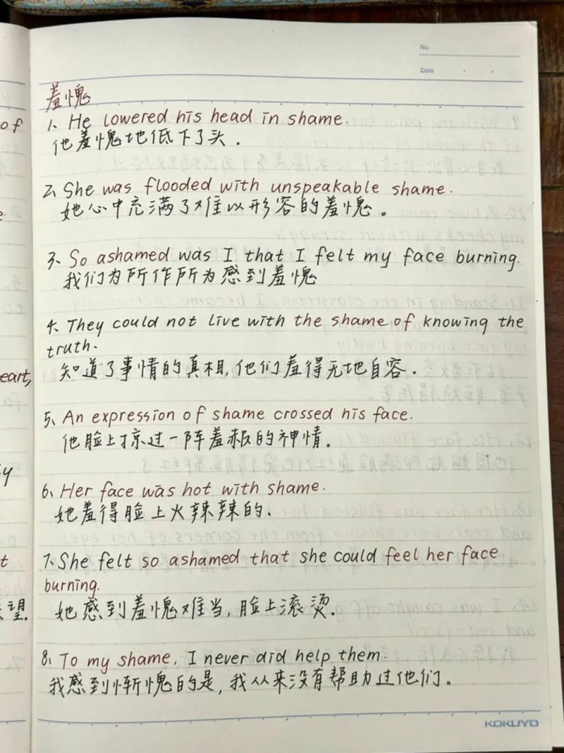 写情感的英语作文