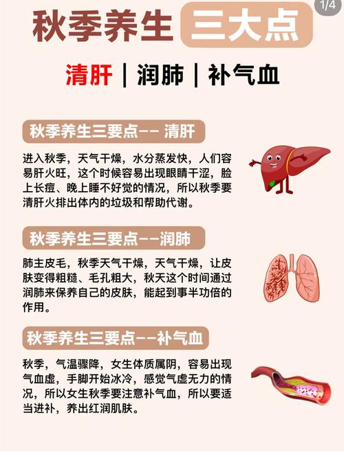 中医保健常识健康知识