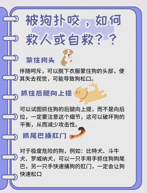 被狗咬伤的自救常识