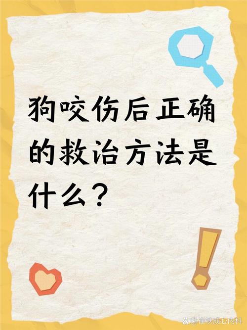 被狗咬伤的自救常识