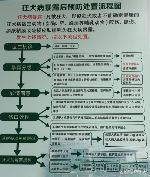 被狗咬伤的自救常识