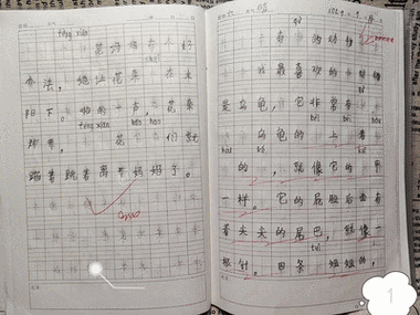 考试前的动态作文